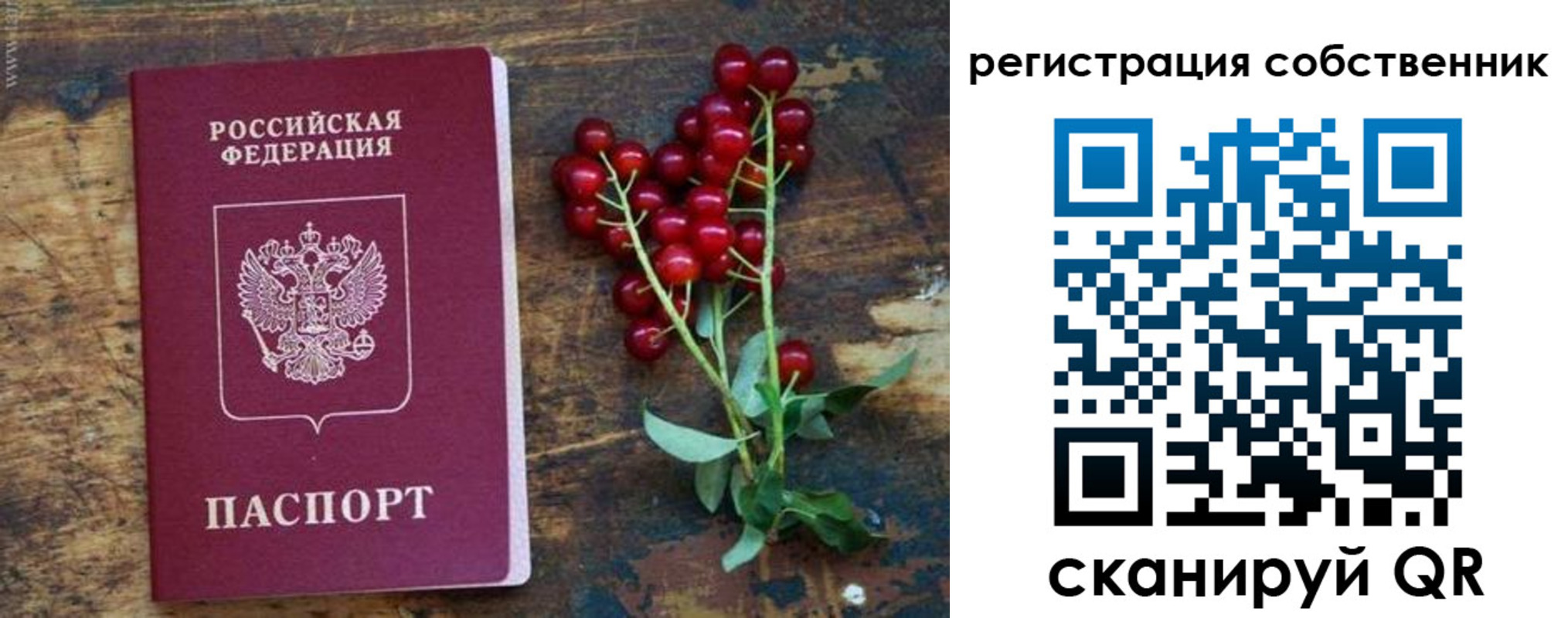 регистрация для дет. сада в Коврове